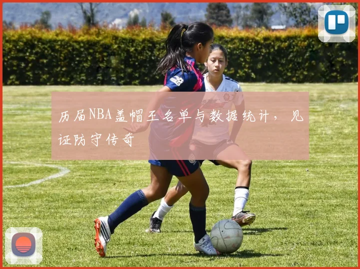 历届NBA盖帽王名单与数据统计，见证防守传奇