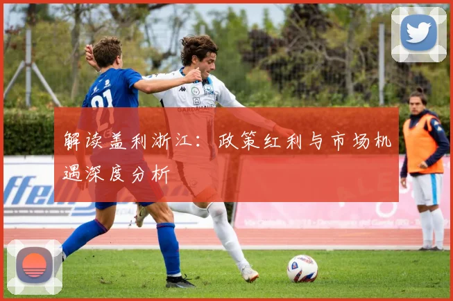 解读盖利浙江:政策红利与市场机遇深度分析