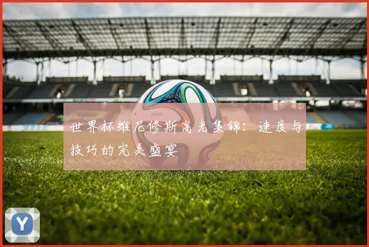 世界杯维尼修斯高光集锦：速度与技巧的完美盛宴